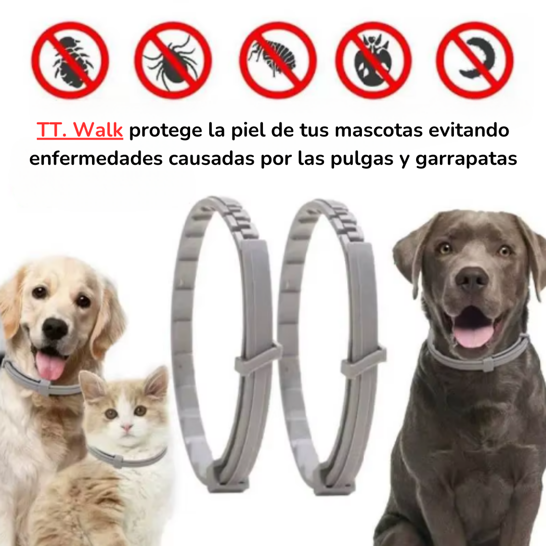 TT. Walk - Collar Antipulgas y Garrapatas + Obsequio